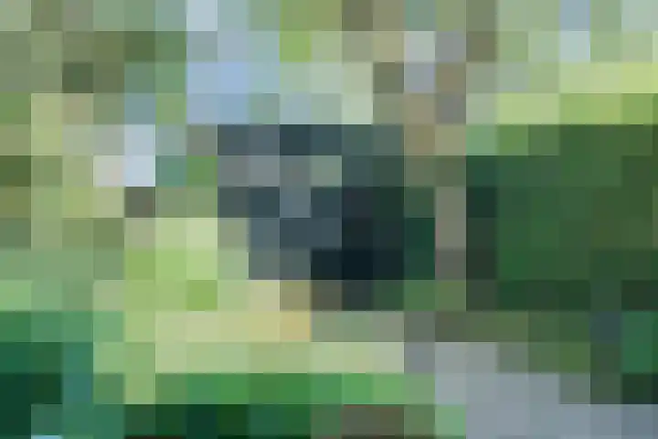 Prins Hendriklaan 9 Leusden thumbnail 41