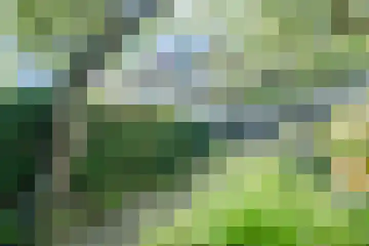 Prins Hendriklaan 9 Leusden thumbnail 42