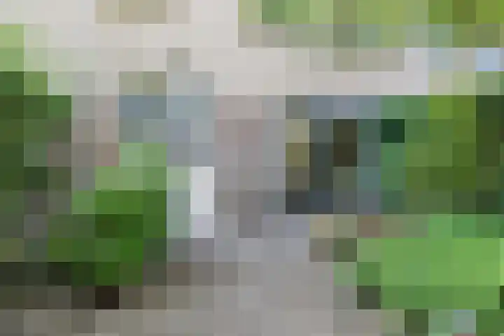 Prins Hendriklaan 9 Leusden thumbnail 43