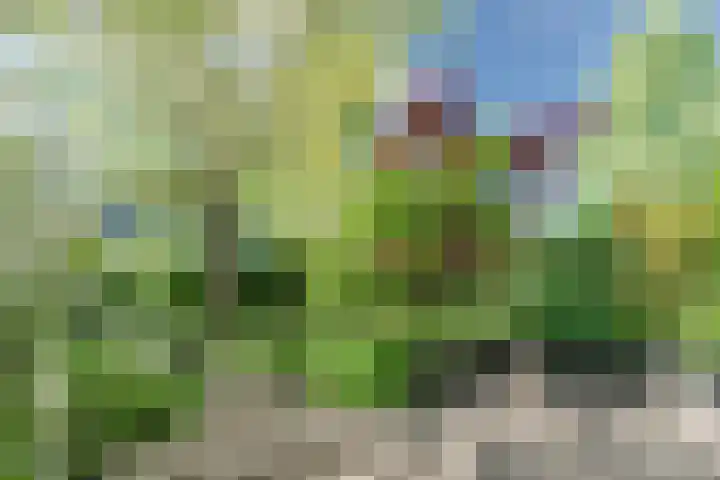 Prins Hendriklaan 9 Leusden thumbnail 47