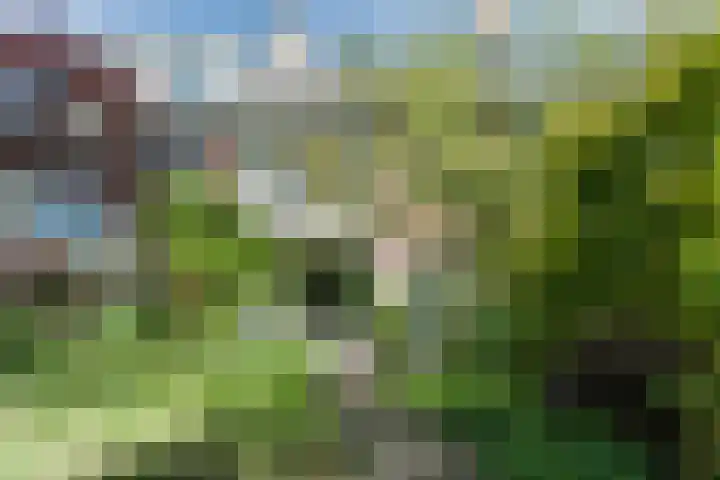 Prins Hendriklaan 9 Leusden thumbnail 56