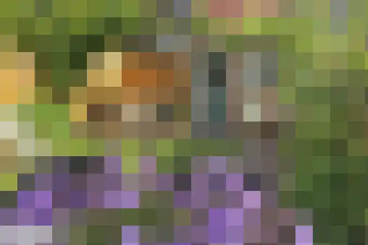 Prins Hendriklaan 99 Overveen thumbnail 4