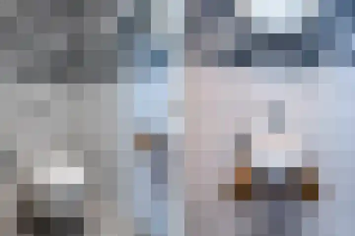 Prins Hendriklaan 99 Overveen thumbnail 8