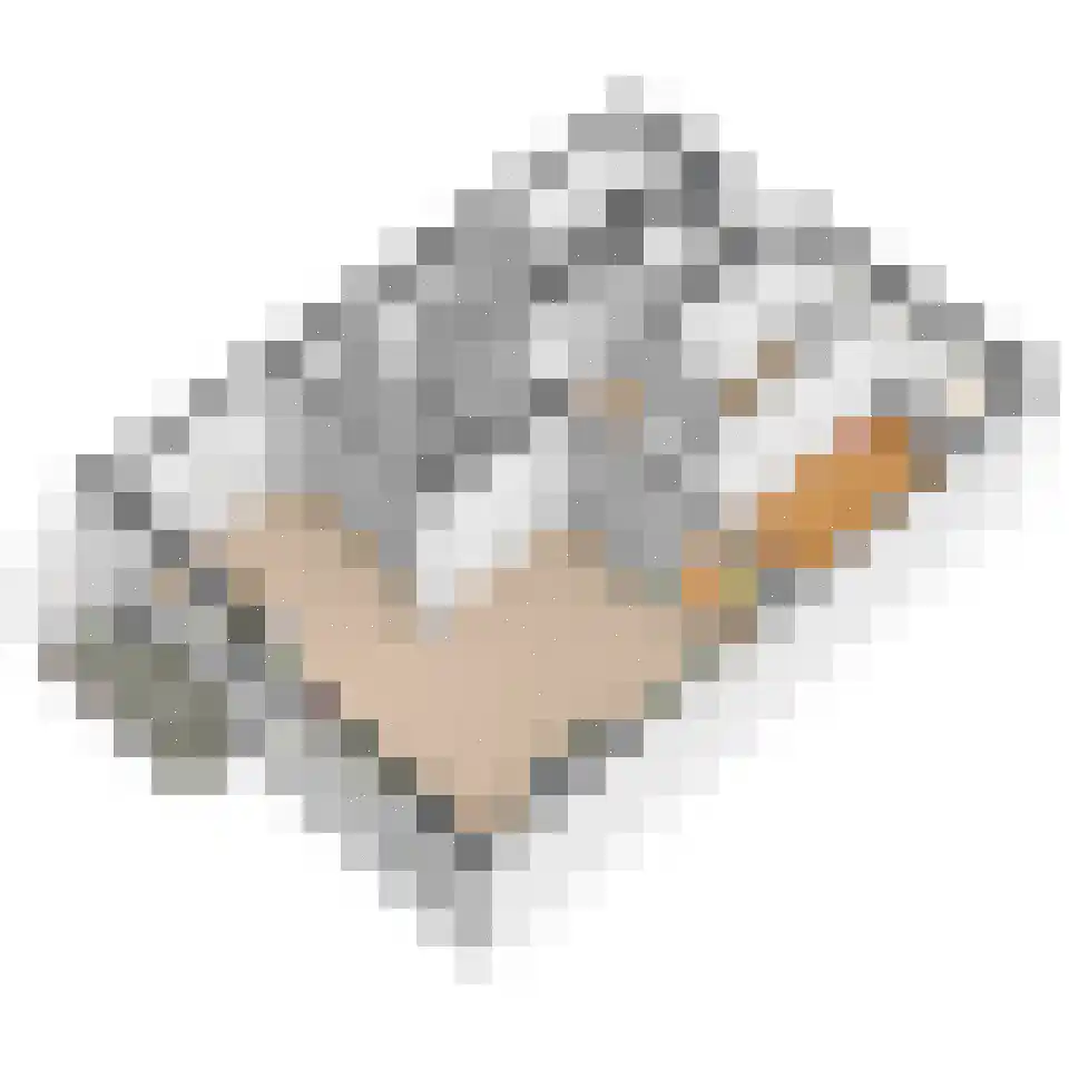 Prins Hendrikplein 16 Leidschendam thumbnail 36
