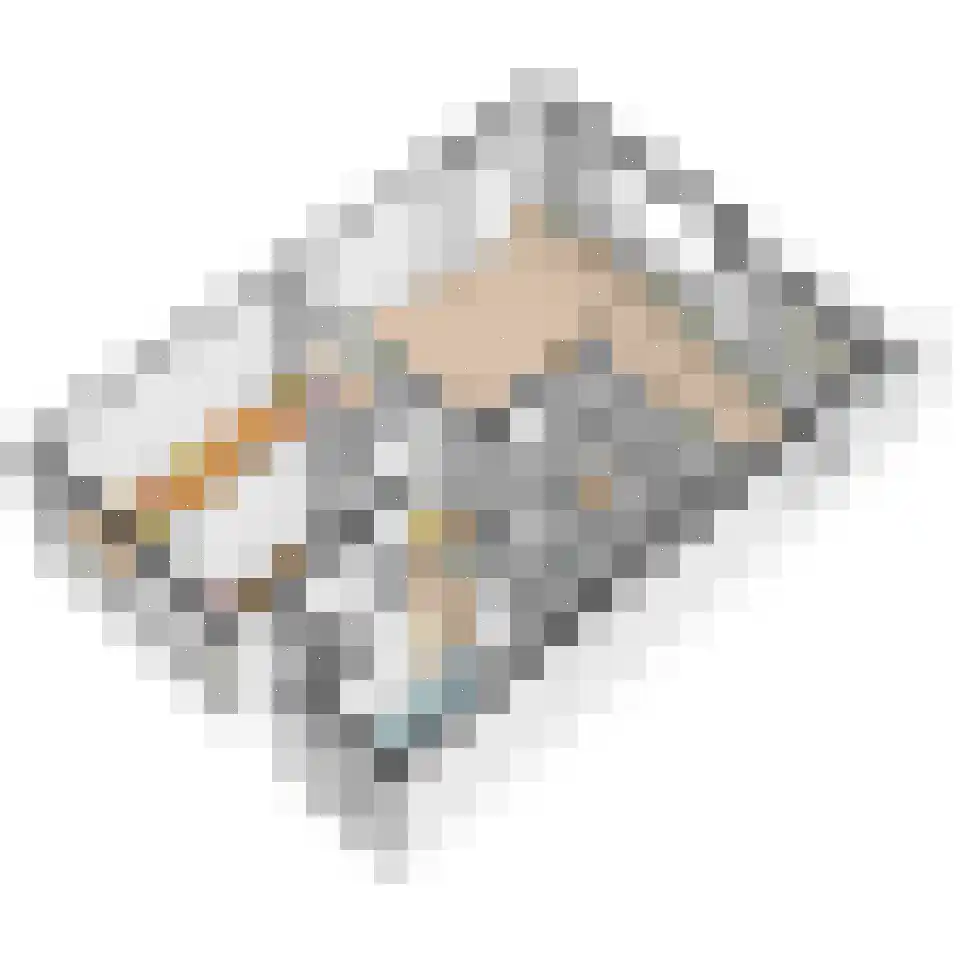 Prins Hendrikplein 16 Leidschendam thumbnail 38
