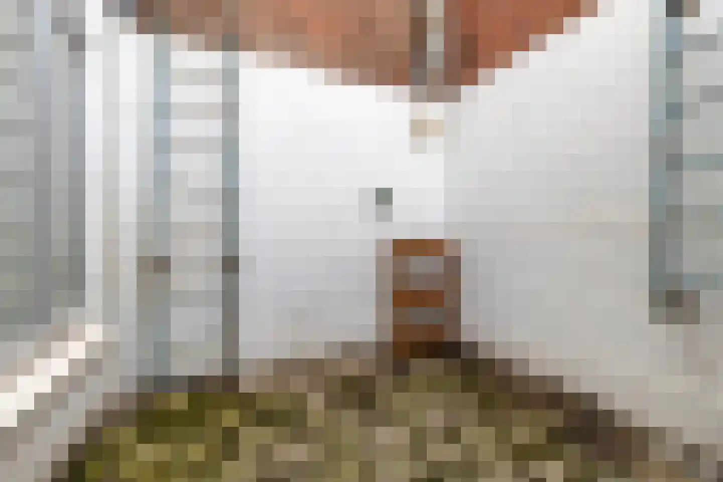 Prins Hendrikplein 3 Leiden thumbnail 20