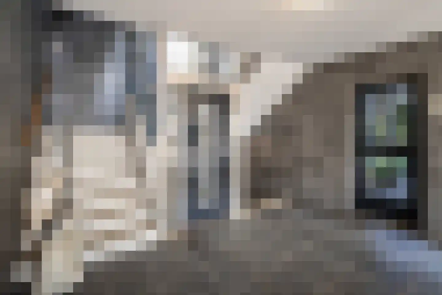 Prins Hendrikplein 31 Leidschendam thumbnail 5