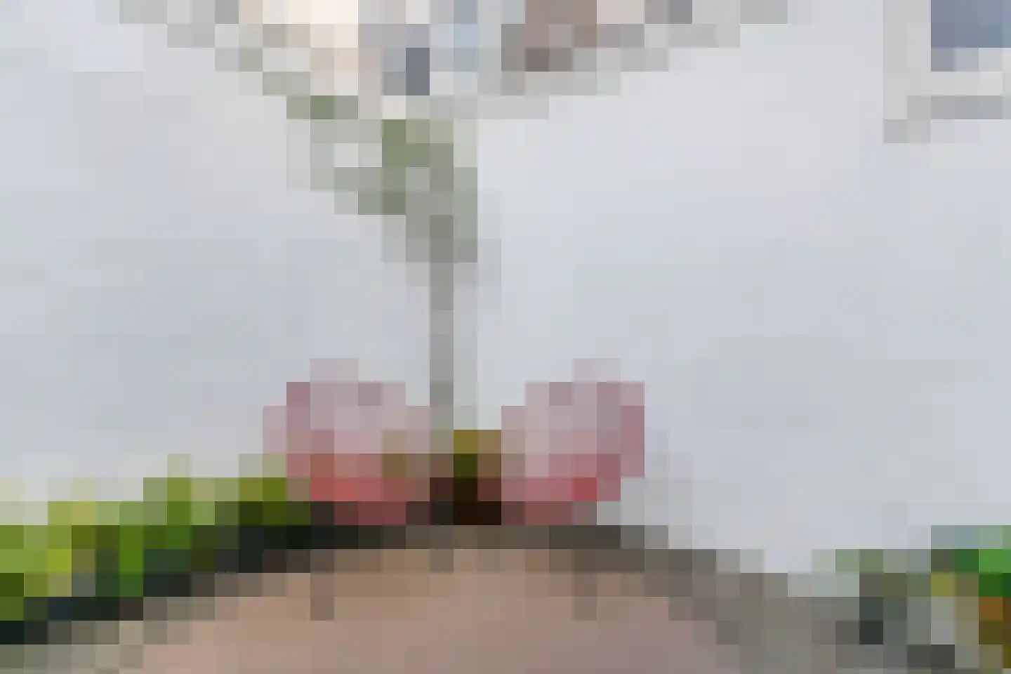 Prins Hendrikplein 4 Leiden thumbnail 15