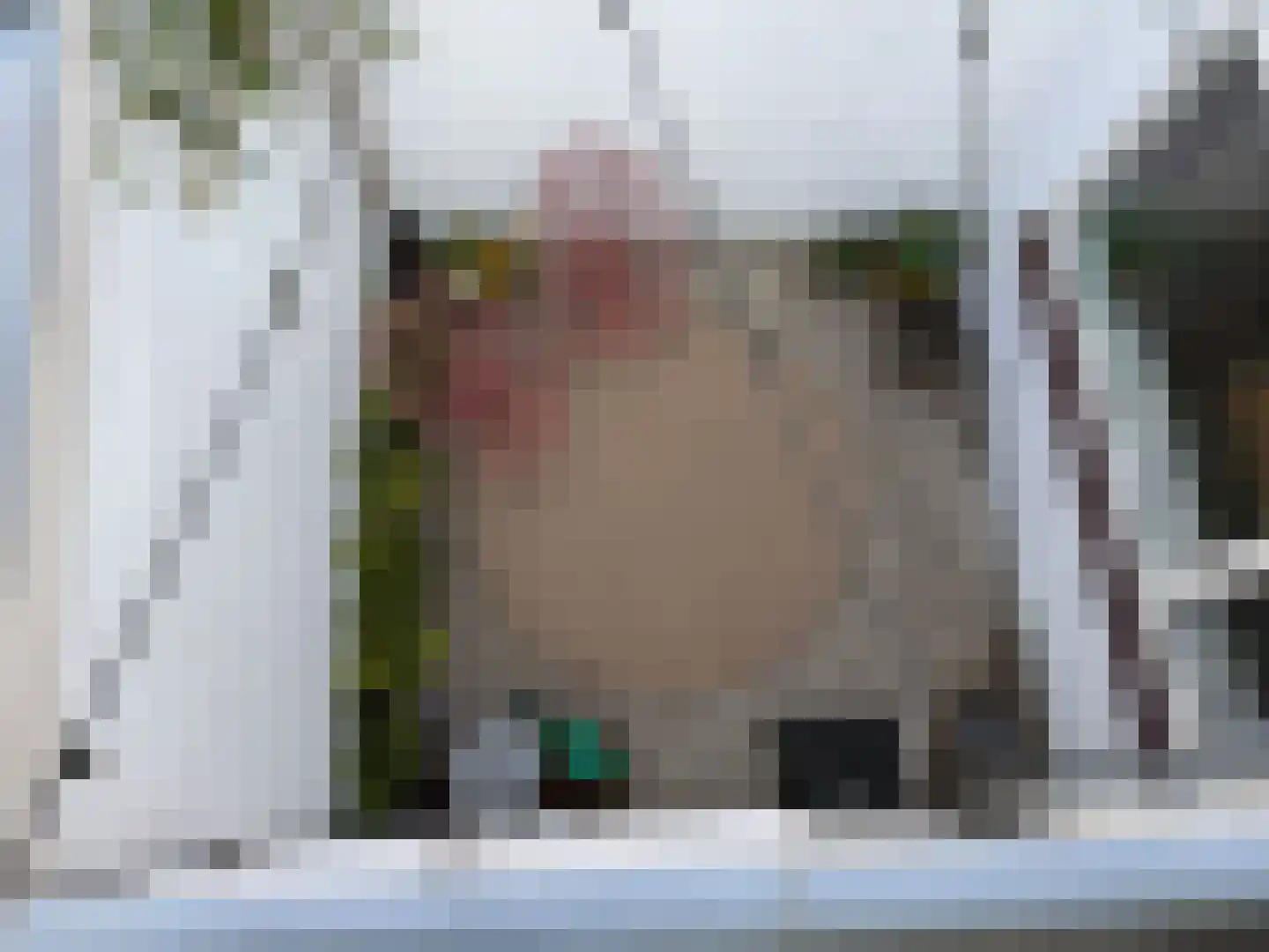 Prins Hendrikplein 4 Leiden thumbnail 17