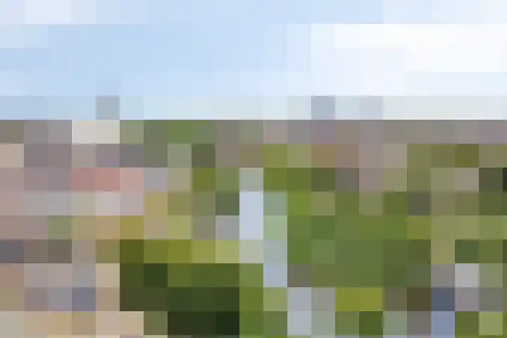 Prins Hendrikplein 5 Leiden thumbnail 4