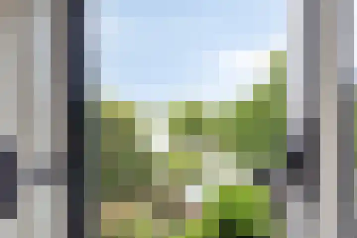 Prins Hendrikplein 5 Leiden thumbnail 49