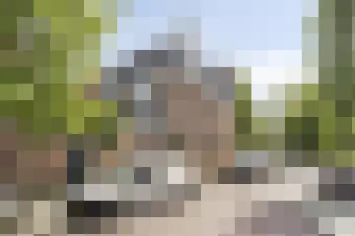 Prins Hendrikplein 5 Leiden thumbnail 54