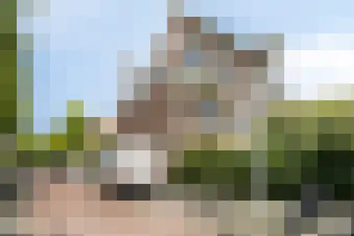 Prins Hendrikplein 5 Leiden thumbnail 58