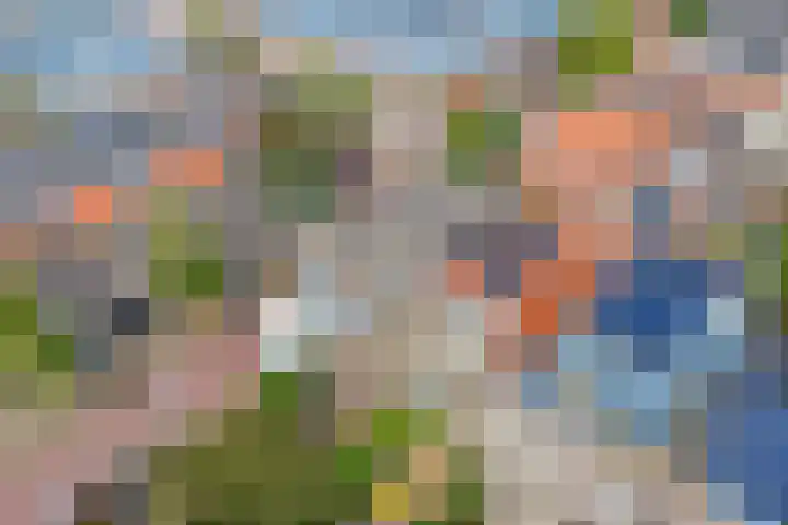 Prins Hendrikplein 5 Leiden thumbnail 66