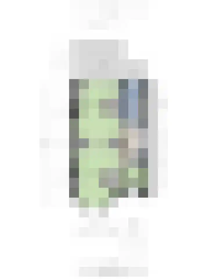 Prins Hendrikplein 5 Leiden thumbnail 77