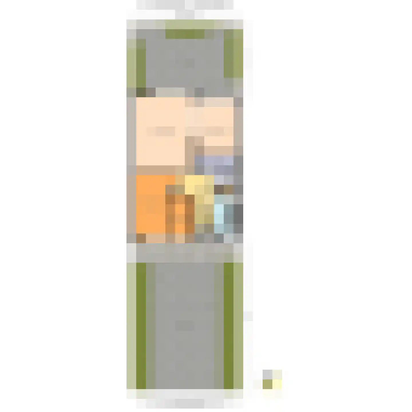 Prins Hendrikplein 6 Leidschendam thumbnail 36