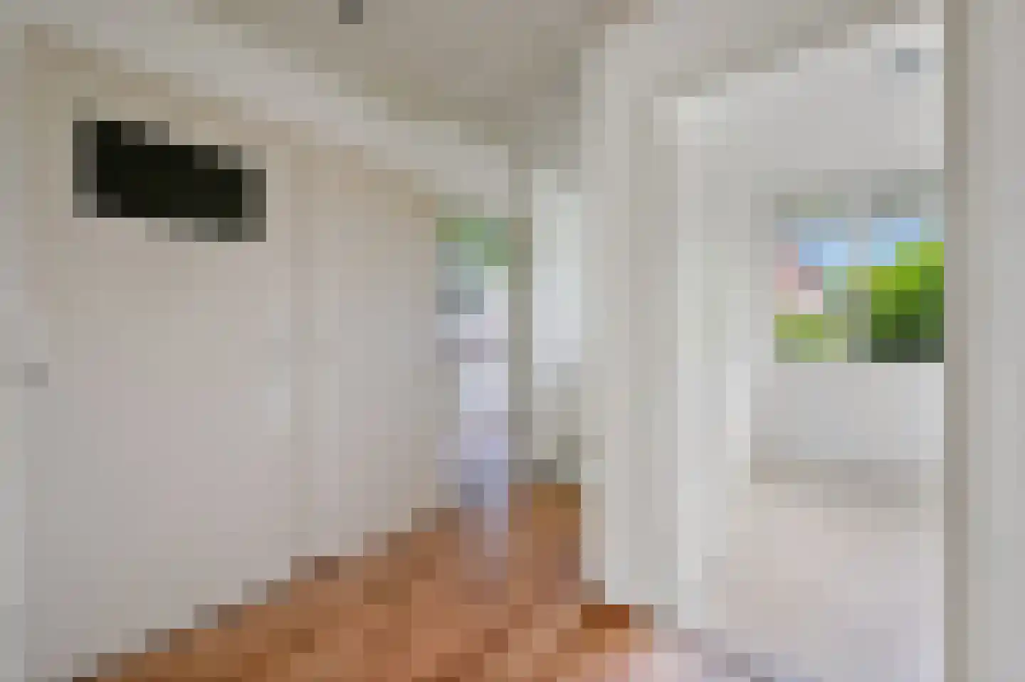 Prins Hendrikplein 7 Leidschendam thumbnail 10