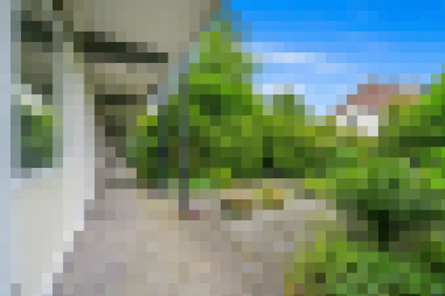 Prins Hendrikplein 7 Leidschendam thumbnail 28