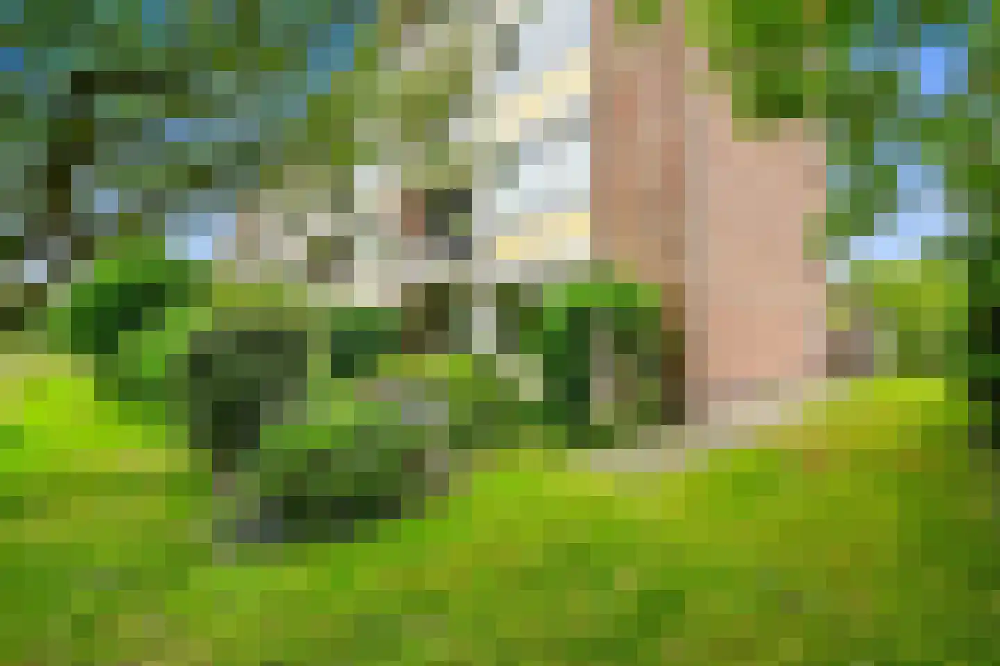 Prins Hendrikplein 7 Leidschendam thumbnail 32