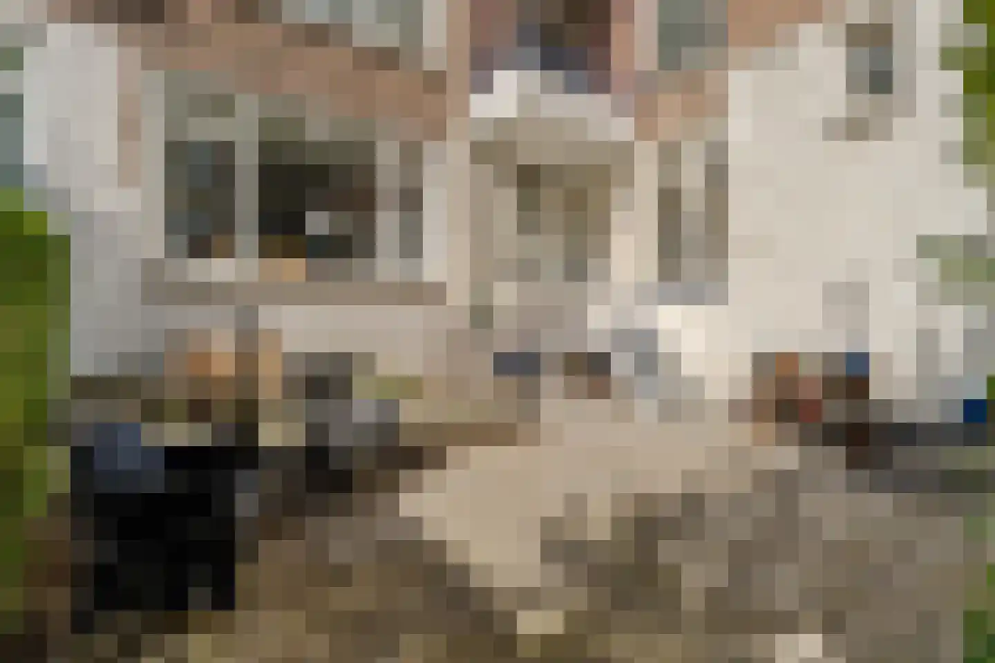 Prins Hendrikstraat 1 A Rotterdam thumbnail 25