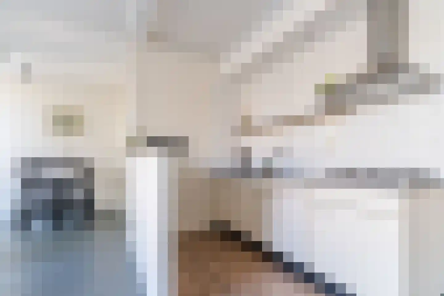 Prins Hendrikstraat 1 Alkmaar thumbnail 11