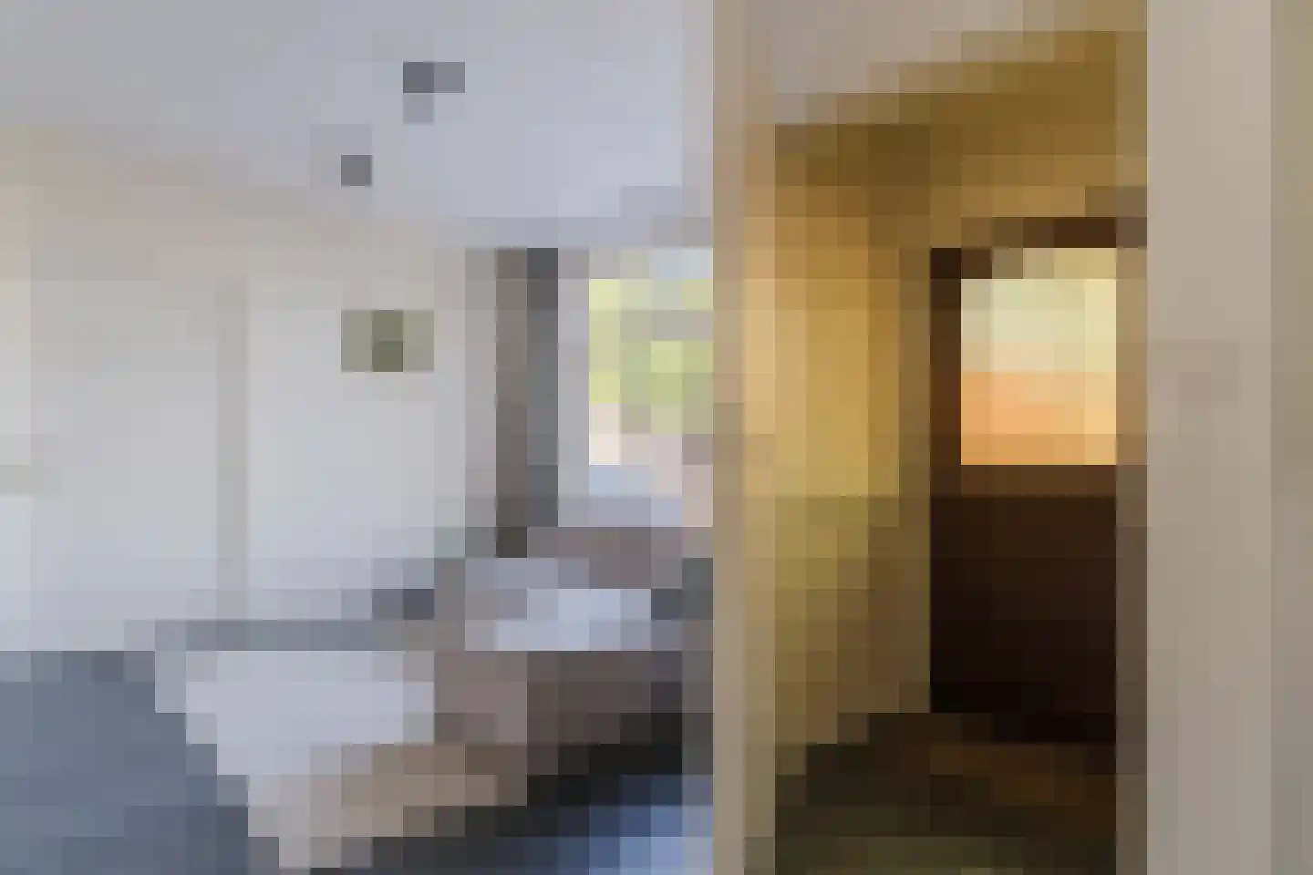Prins Hendrikstraat 1 Alkmaar thumbnail 22