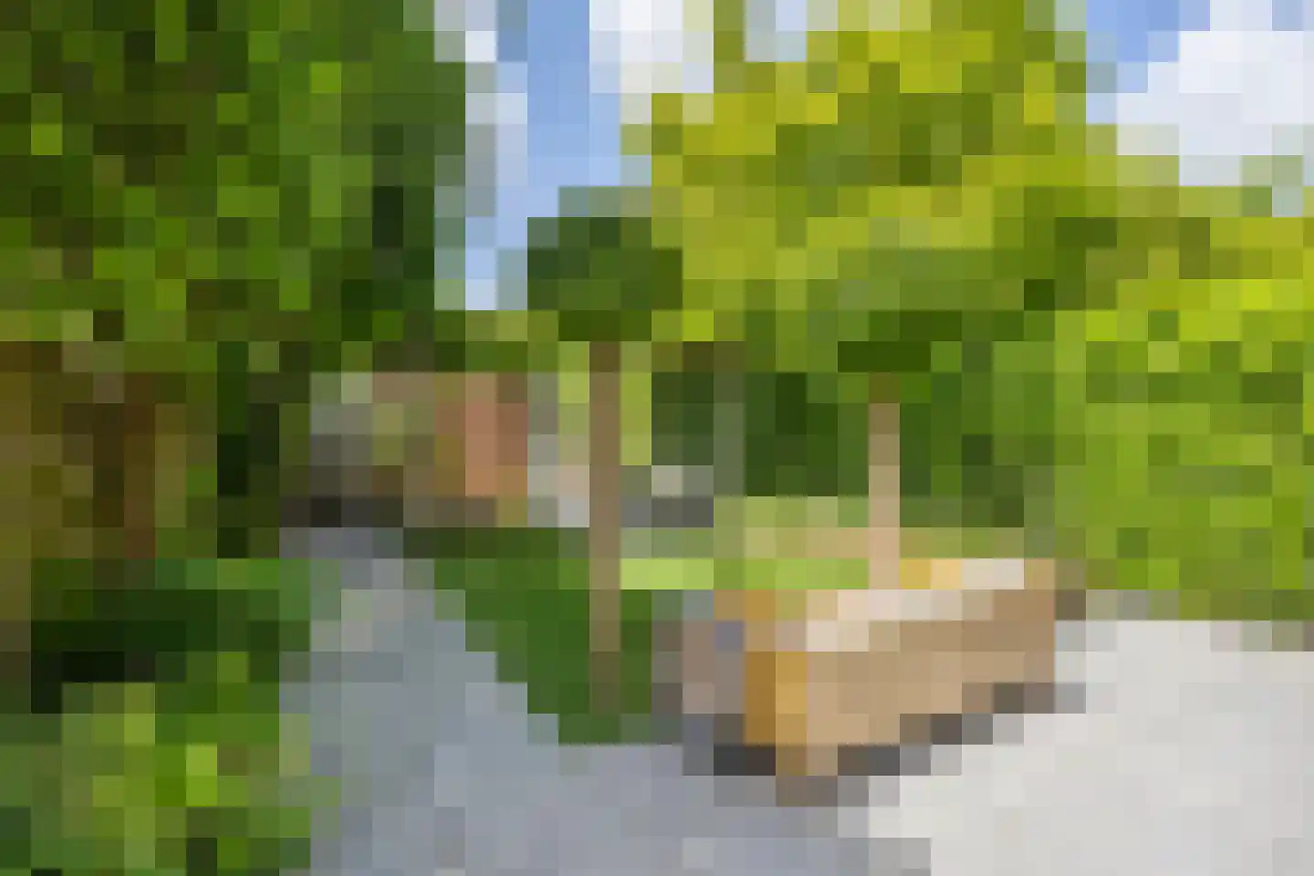 Prins Hendrikstraat 1 Gorinchem thumbnail 4