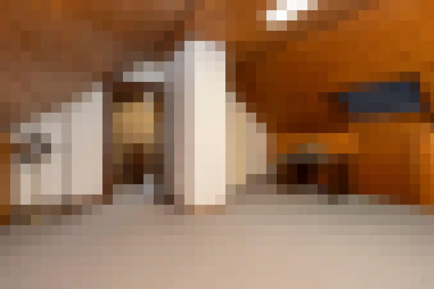 Prins Hendrikstraat 10 Budel-Dorplein thumbnail 34