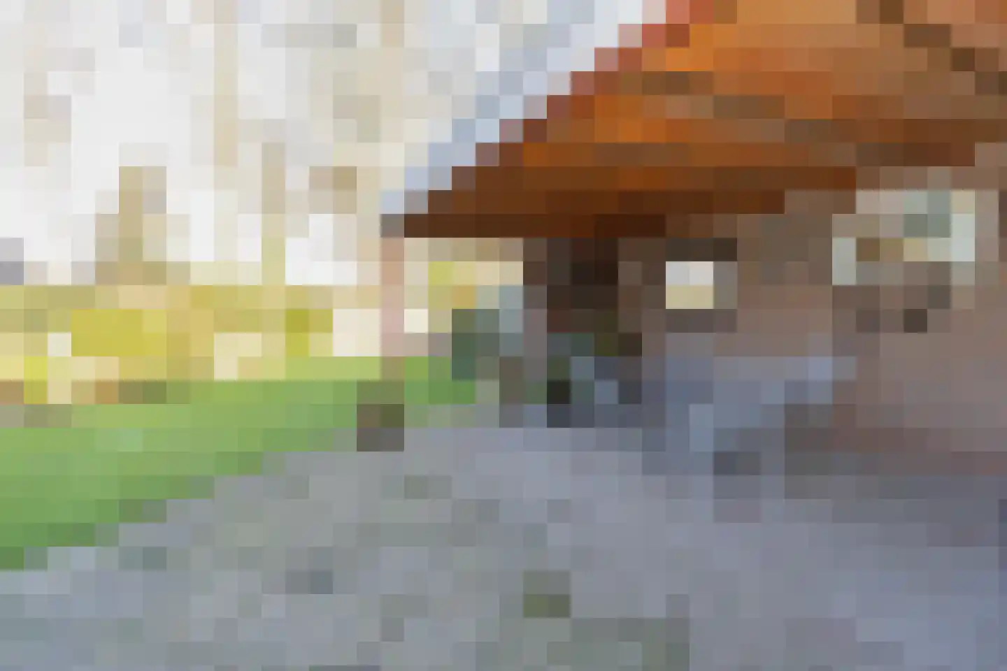 Prins Hendrikstraat 10 Budel-Dorplein thumbnail 37