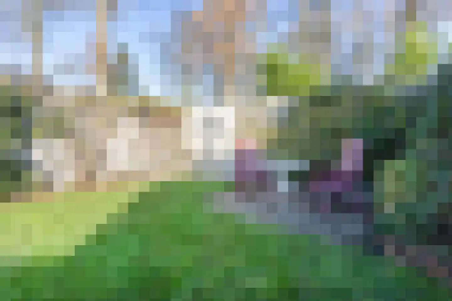 Prins Hendrikstraat 10 Budel-Dorplein thumbnail 38