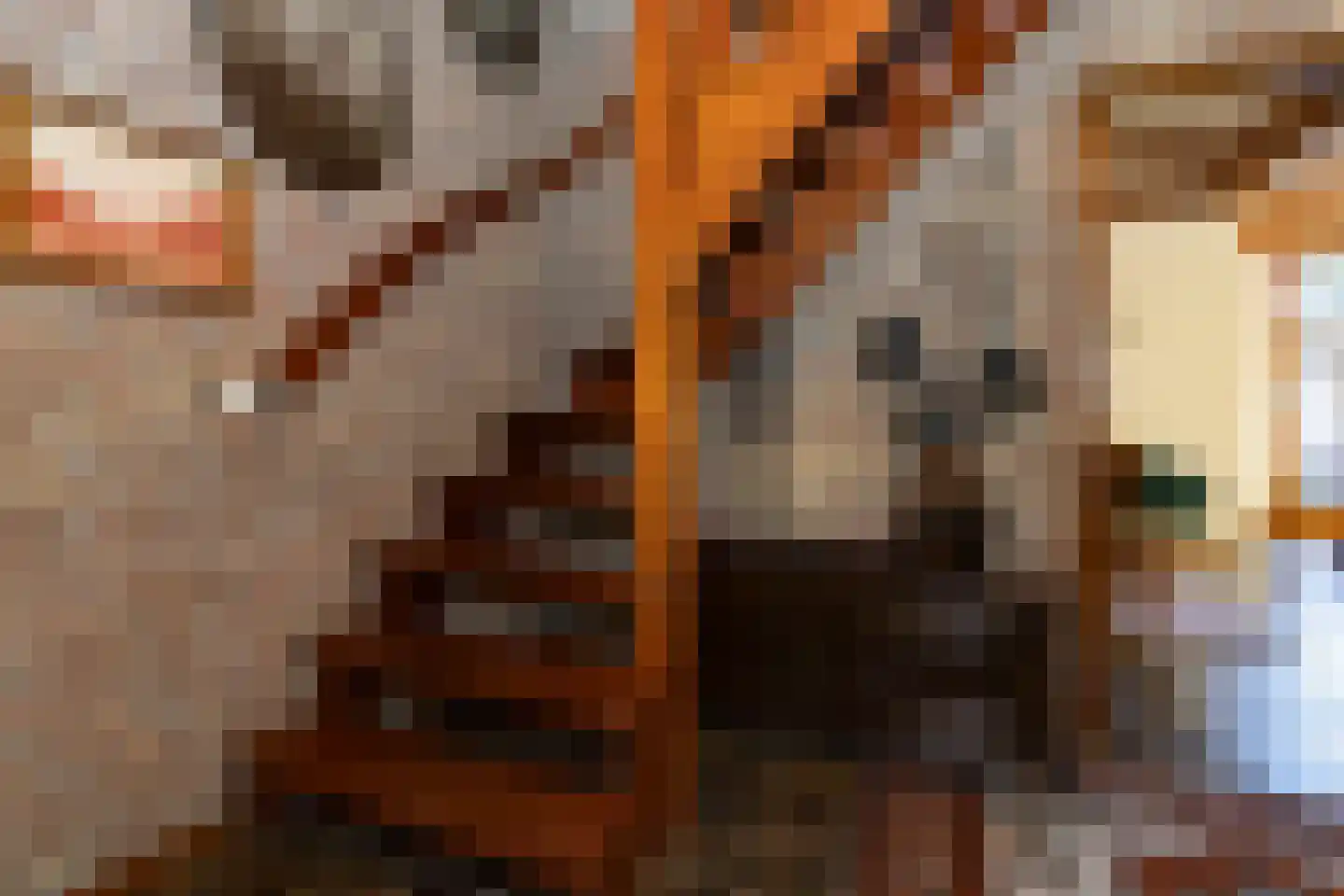 Prins Hendrikstraat 10 Budel-Dorplein thumbnail 6