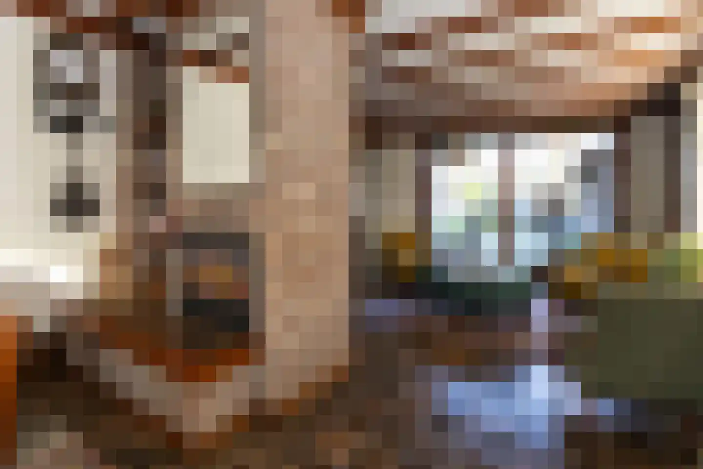 Prins Hendrikstraat 10 Budel-Dorplein thumbnail 8