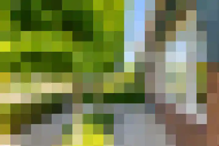 Prins Hendrikstraat 10 Hardinxveld-Giessendam thumbnail 26