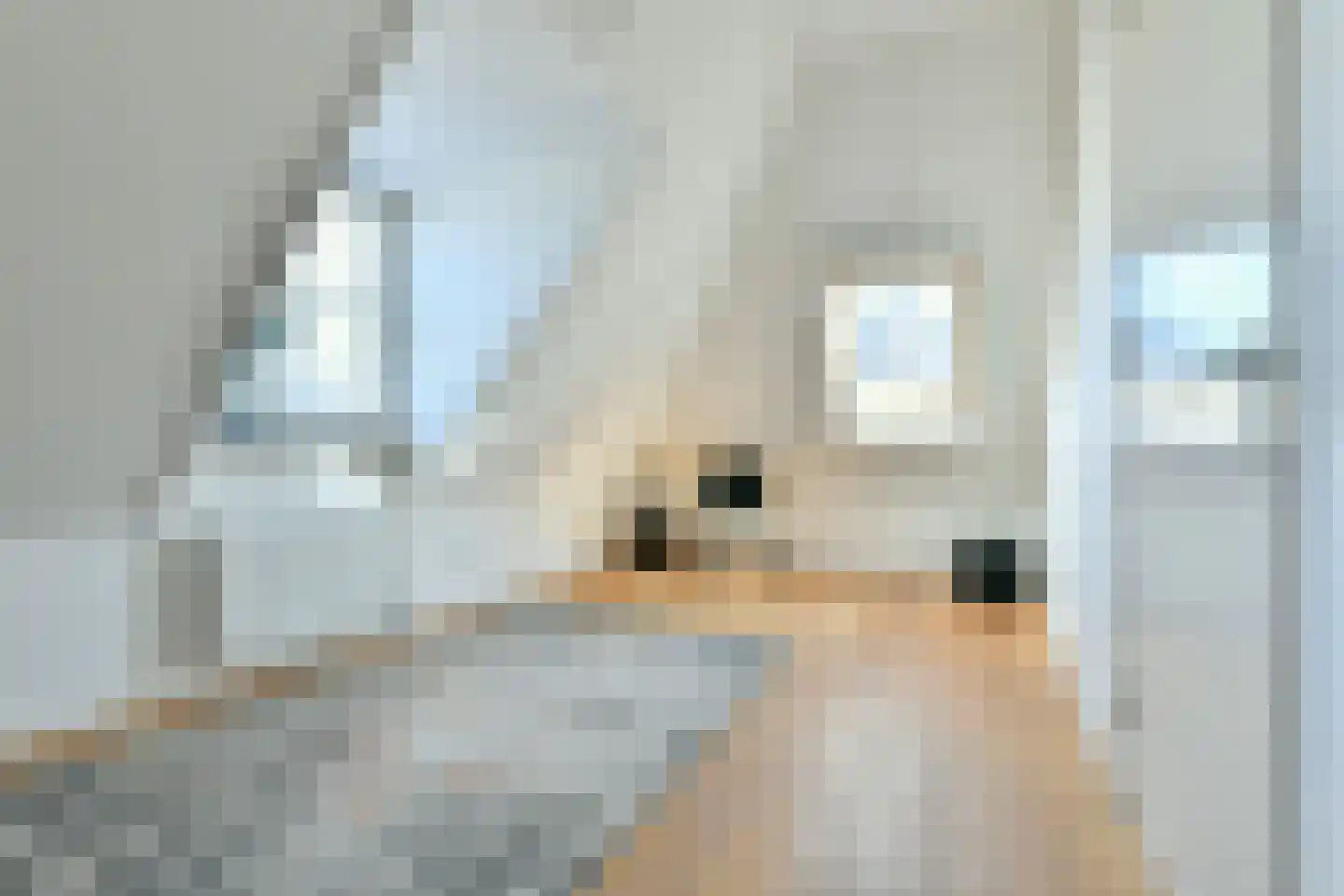 Prins Hendrikstraat 10 Ouderkerk aan de Amstel thumbnail 43