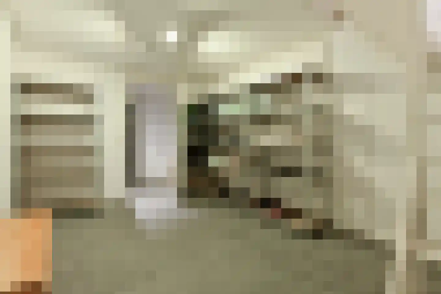 Prins Hendrikstraat 10 Ouderkerk aan de Amstel thumbnail 46
