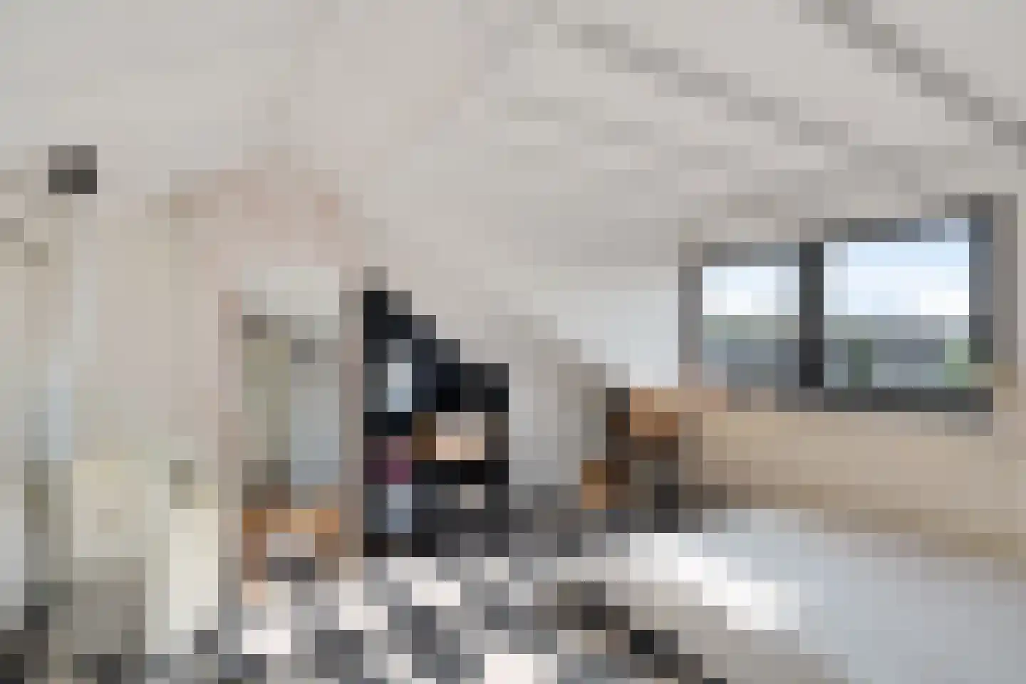 Prins Hendrikstraat 10 Woudenberg thumbnail 27
