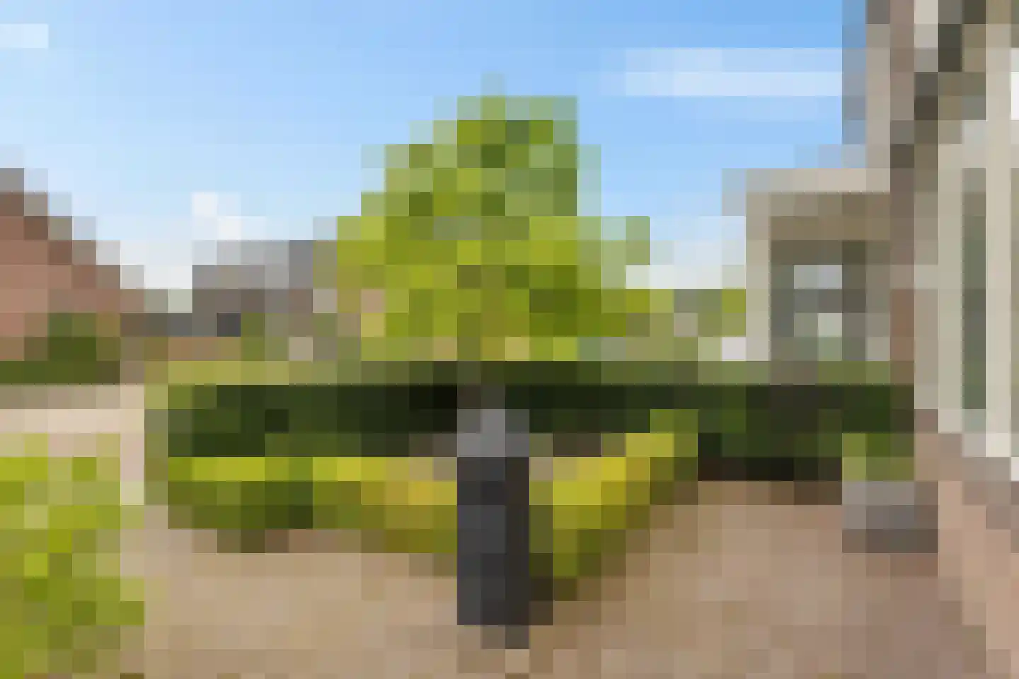 Prins Hendrikstraat 10 Woudenberg thumbnail 32