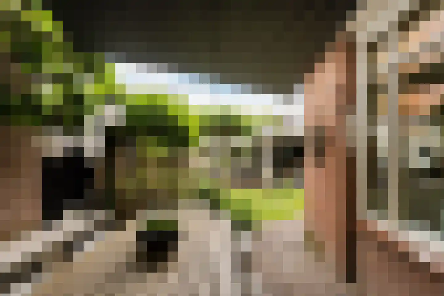 Prins Hendrikstraat 10 Woudenberg thumbnail 33