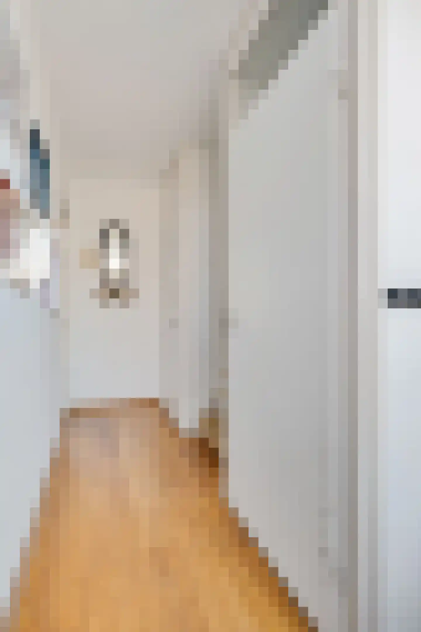 Prins Hendrikstraat 10 Woudenberg thumbnail 7