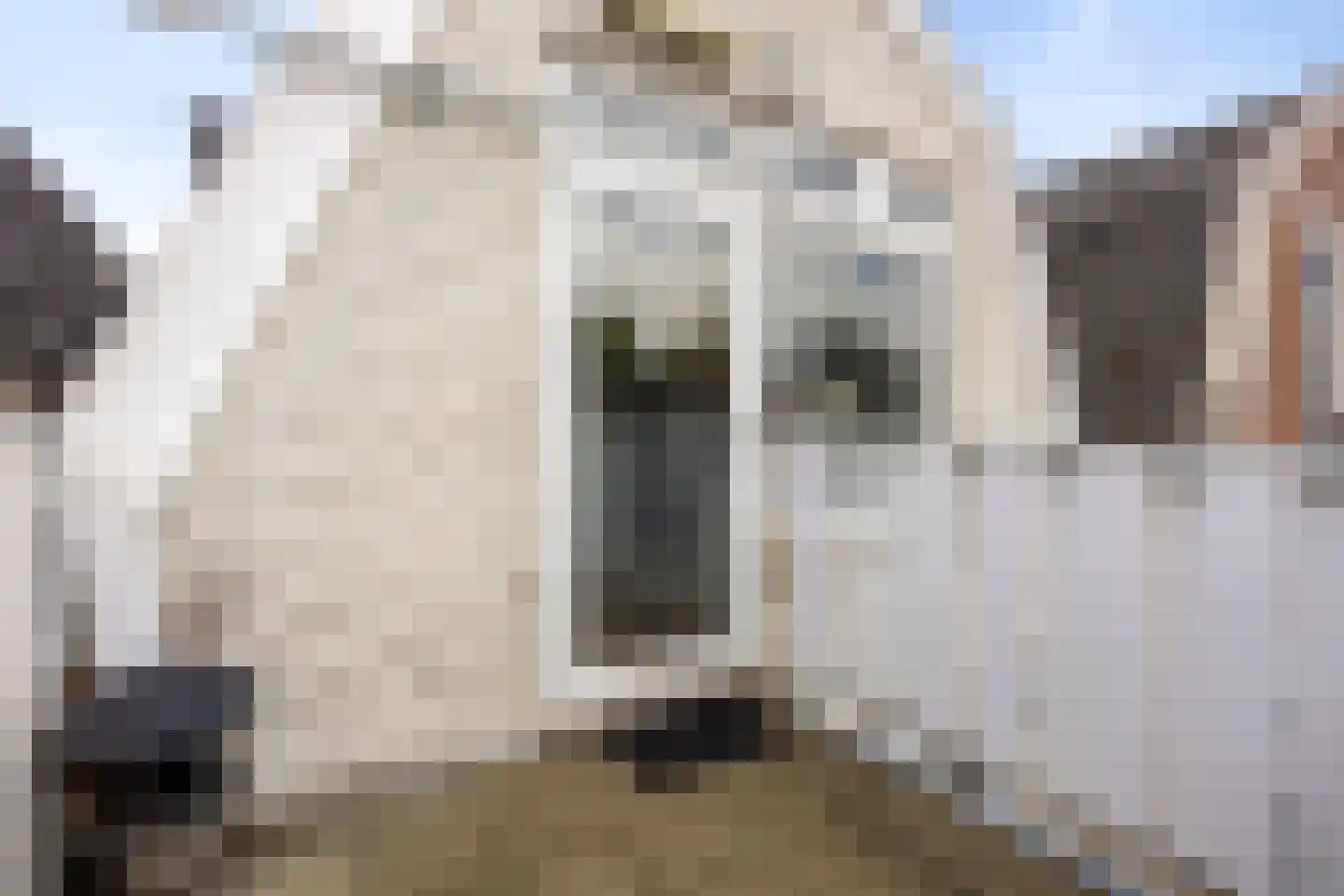 Prins Hendrikstraat 10 Zaandam thumbnail 21