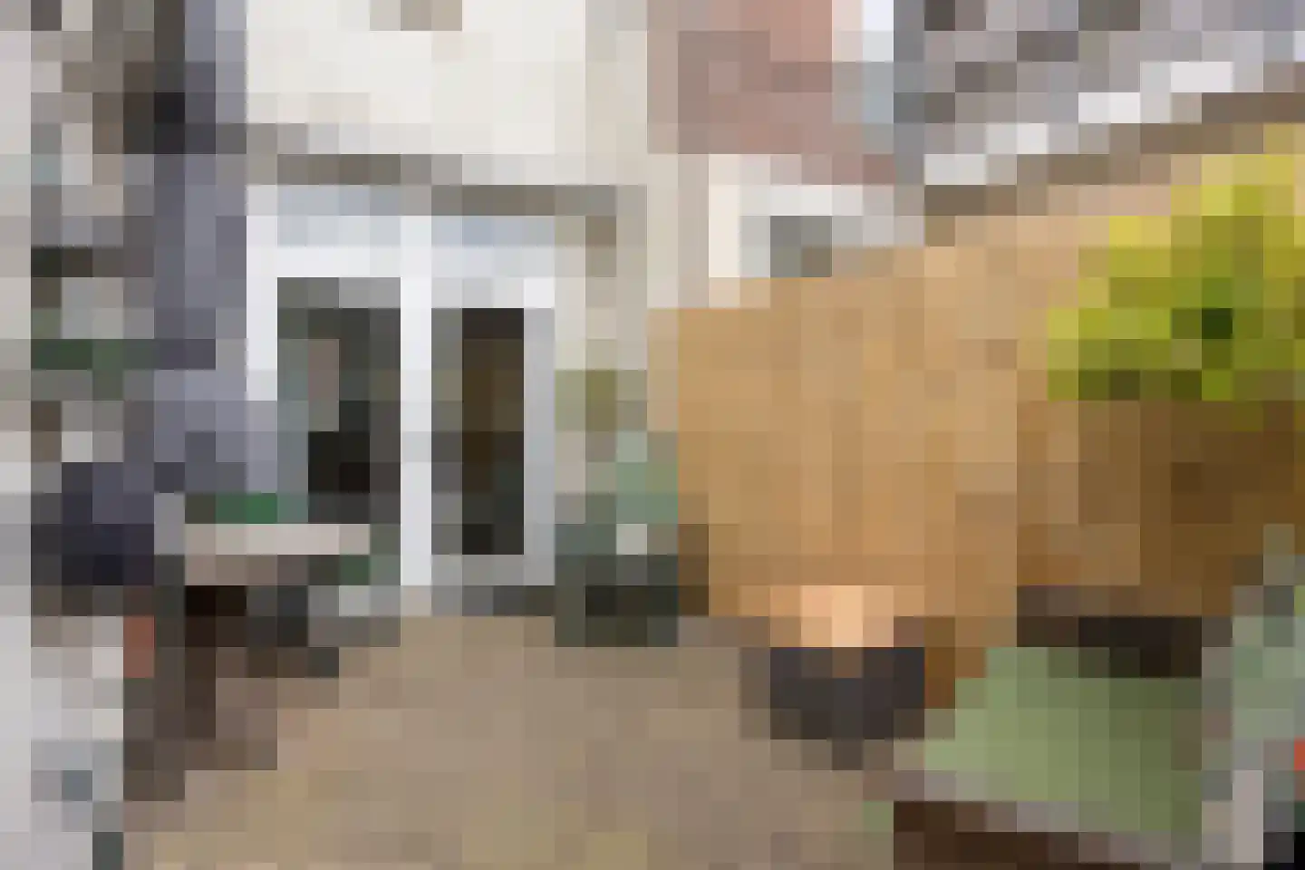 Prins Hendrikstraat 10 Zaandam thumbnail 27