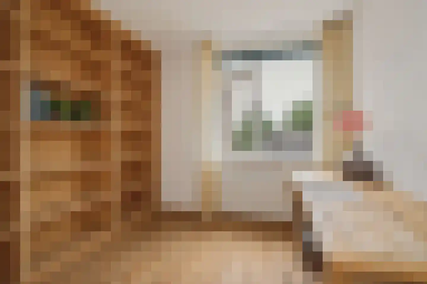Prins Hendrikstraat 100 C Breda thumbnail 48