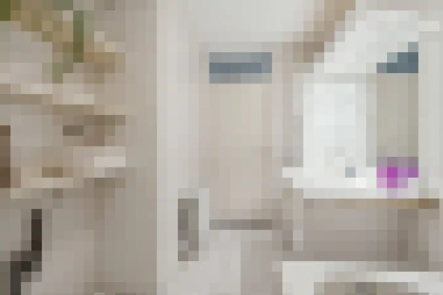 Prins Hendrikstraat 100 C Breda thumbnail 55