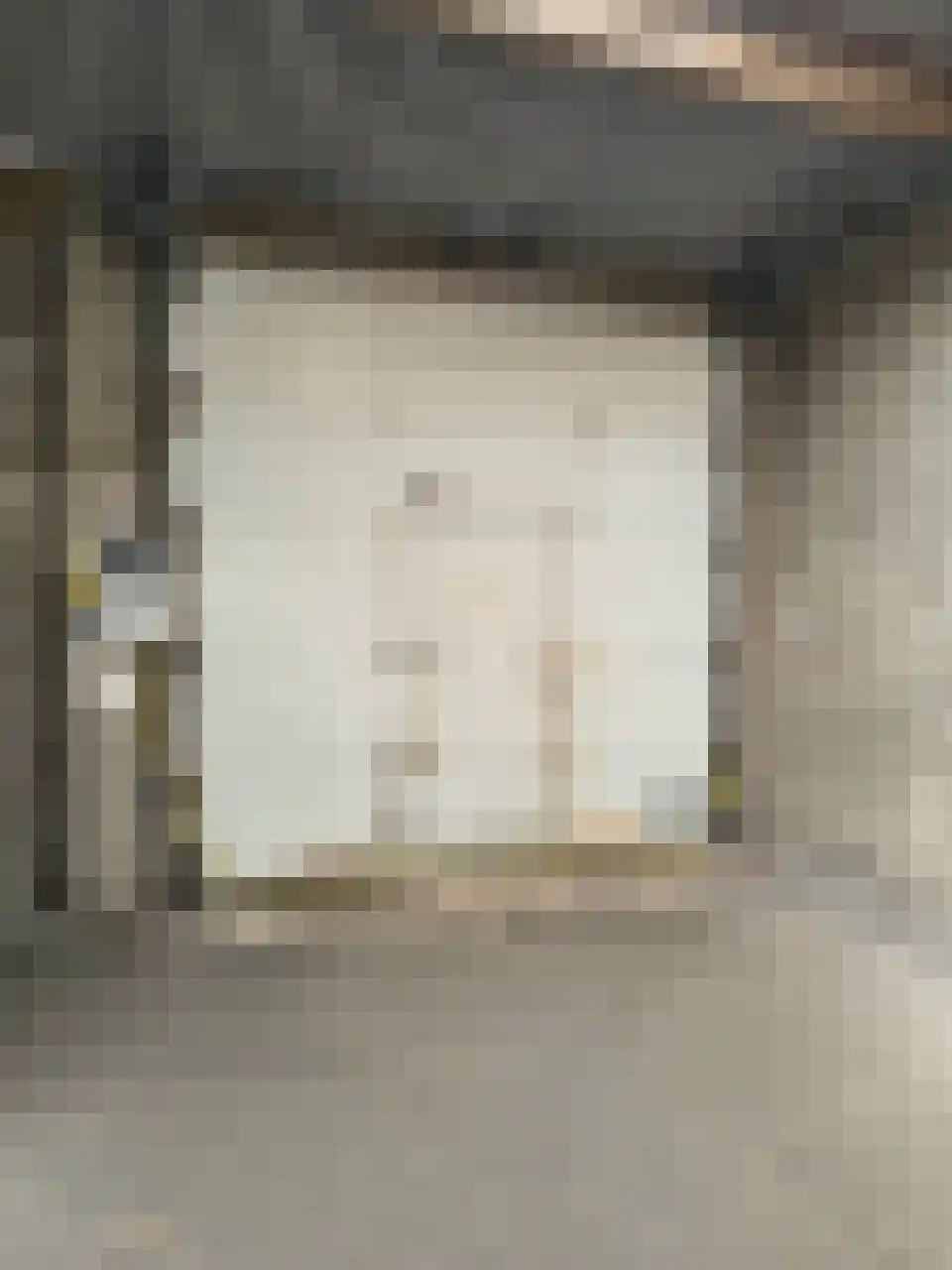 Prins Hendrikstraat 102 B Breda thumbnail 24