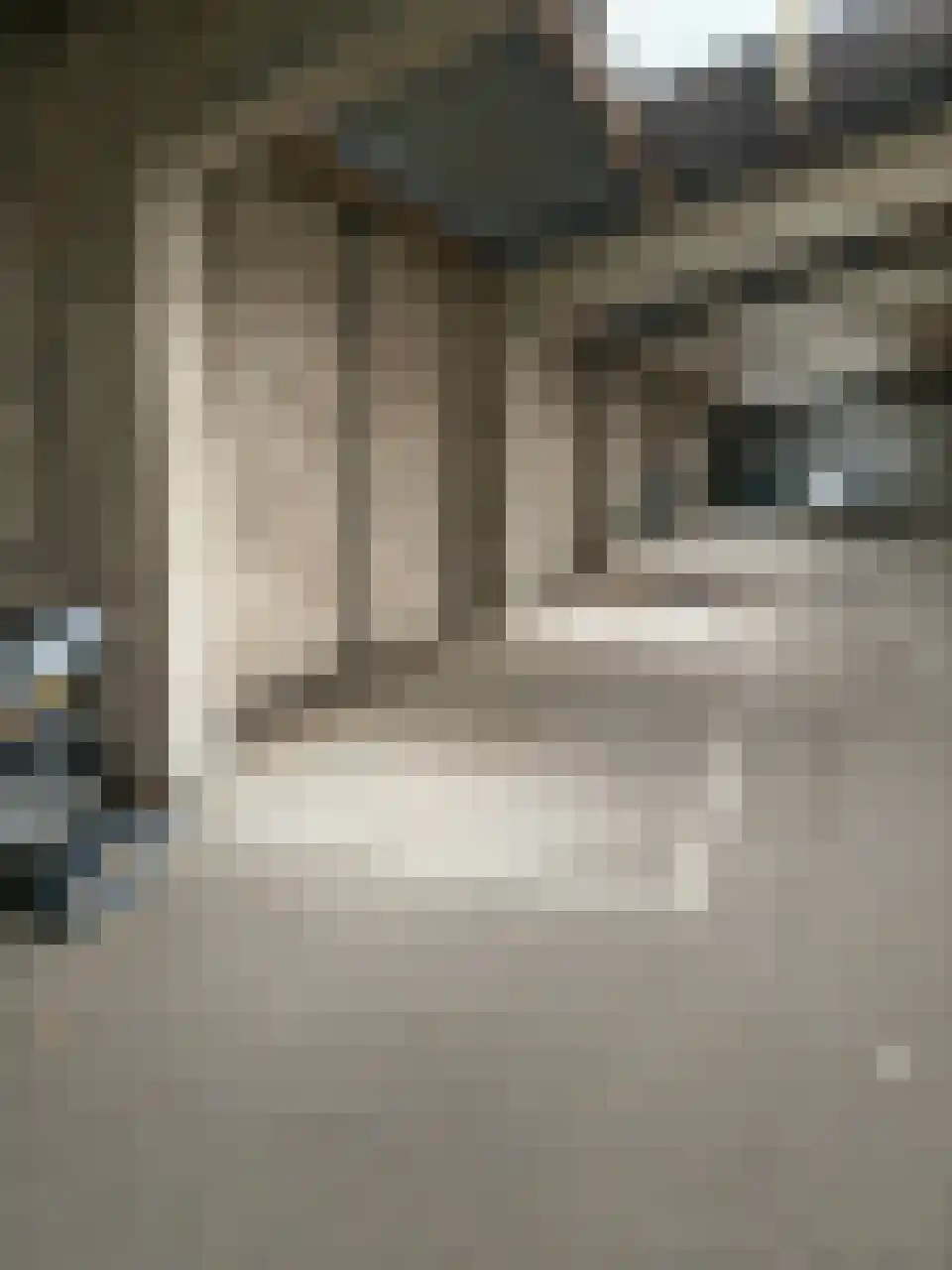 Prins Hendrikstraat 102 B Breda thumbnail 25