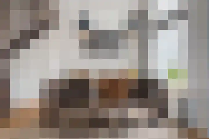 Prins Hendrikstraat 106 Breda thumbnail 8