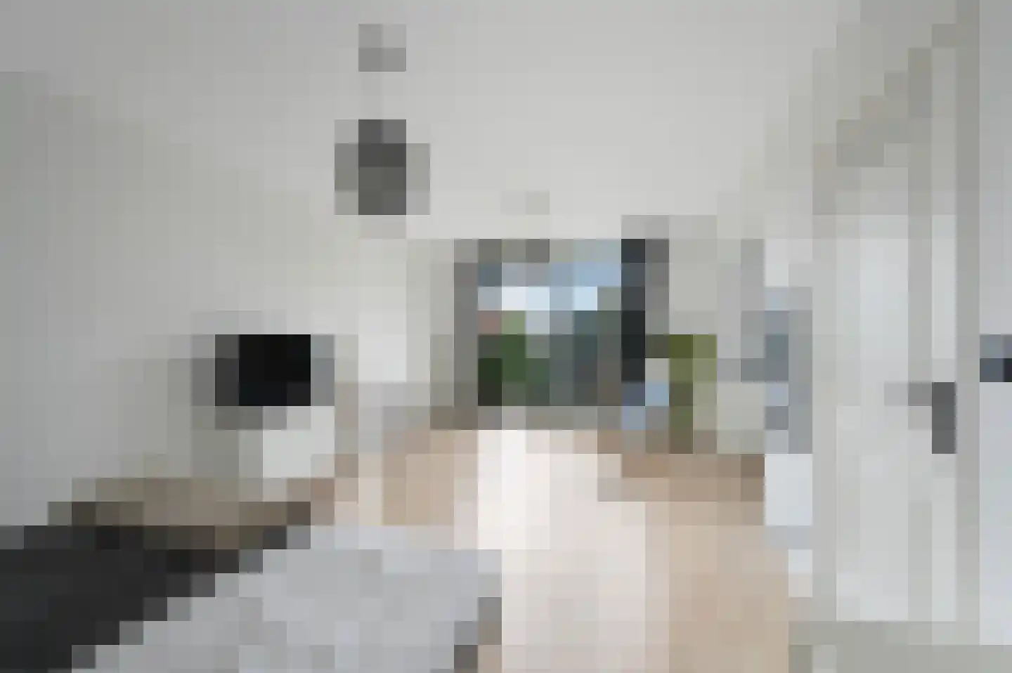 Prins Hendrikstraat 108 Den Haag thumbnail 17