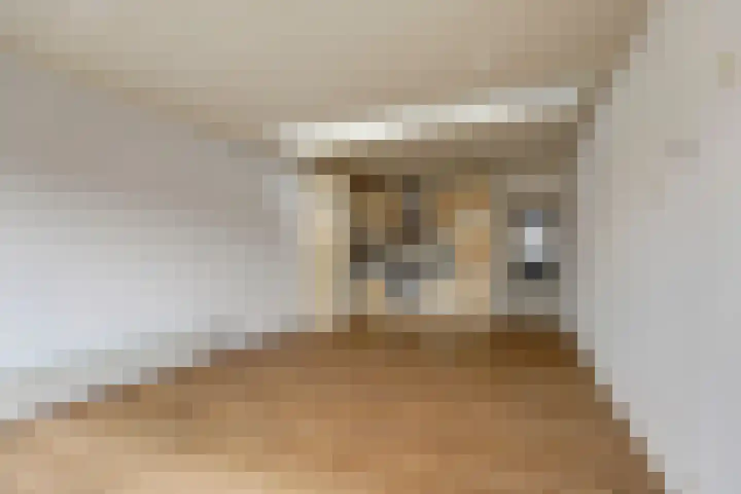 Prins Hendrikstraat 109 Gouda thumbnail 8