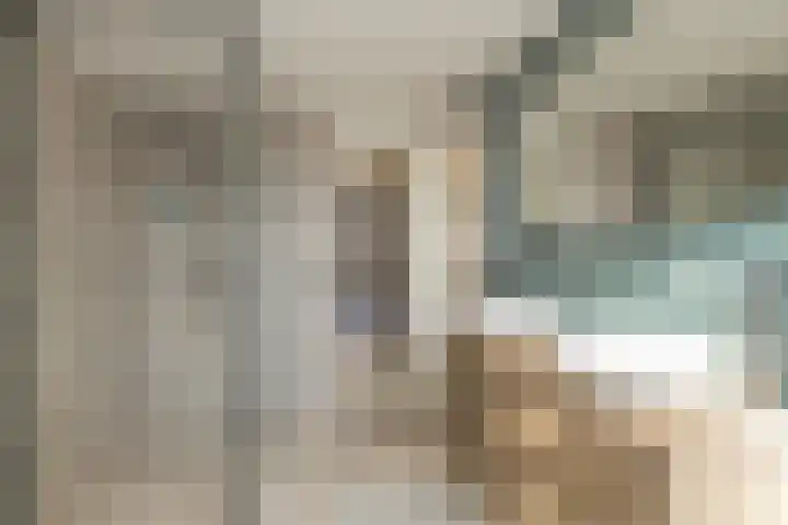 Prins Hendrikstraat 11 Hillegom thumbnail 26