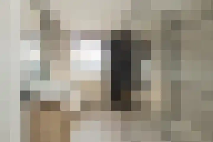 Prins Hendrikstraat 11 Hillegom thumbnail 4